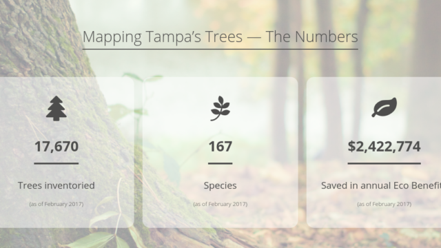 TampaTreeMap tracks trees with benefits