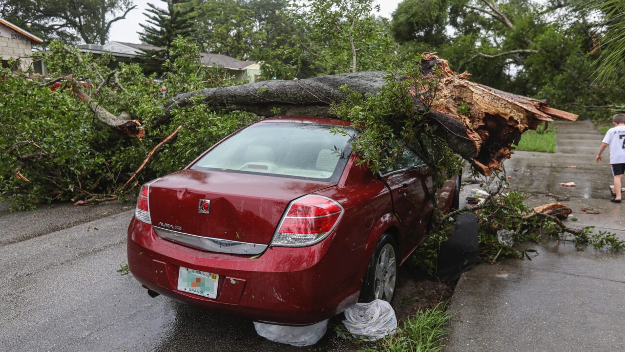 Tree hits car in Tampa: Dead tree falls on auto totaling the vehicle