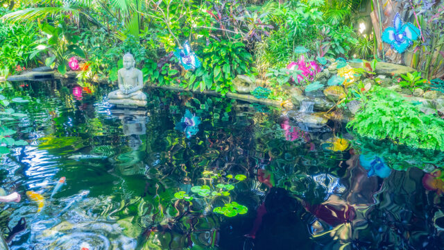 Tampa Bay’s 10 most beautiful botanical gardens