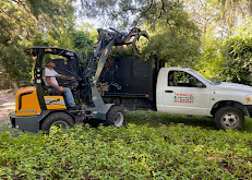tree masters tree service