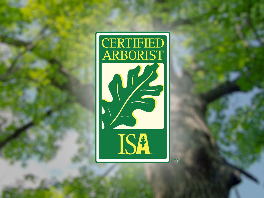 TreeMastersInc_Certified Arborist